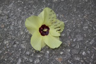 1 756