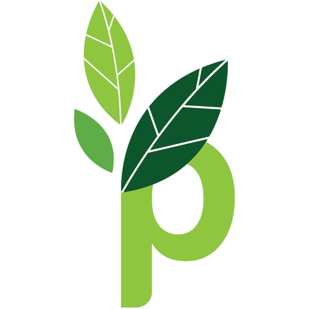 ThePractice P square logo