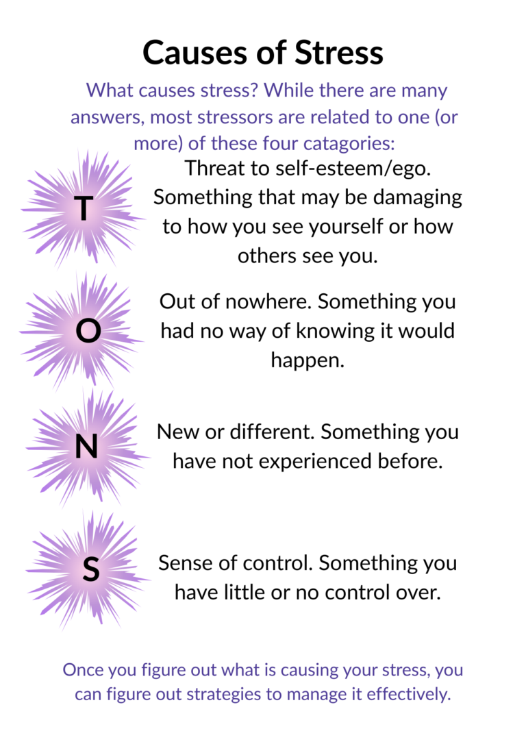 Causes of Stress 768x1083